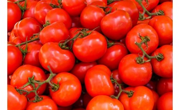 Pulpe de tomate pour les bases de pizzas artisanales de Quality Pizzafresh